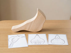 Cardinal Bird Carving Blank for Wood Carving – Pre-Cut Basswood – BIRD_CARDINAL
