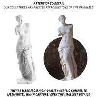 Venus de Milo Sculpting Kit – Complete Starter Plaster Carving Kit – DIY_S_VENUS